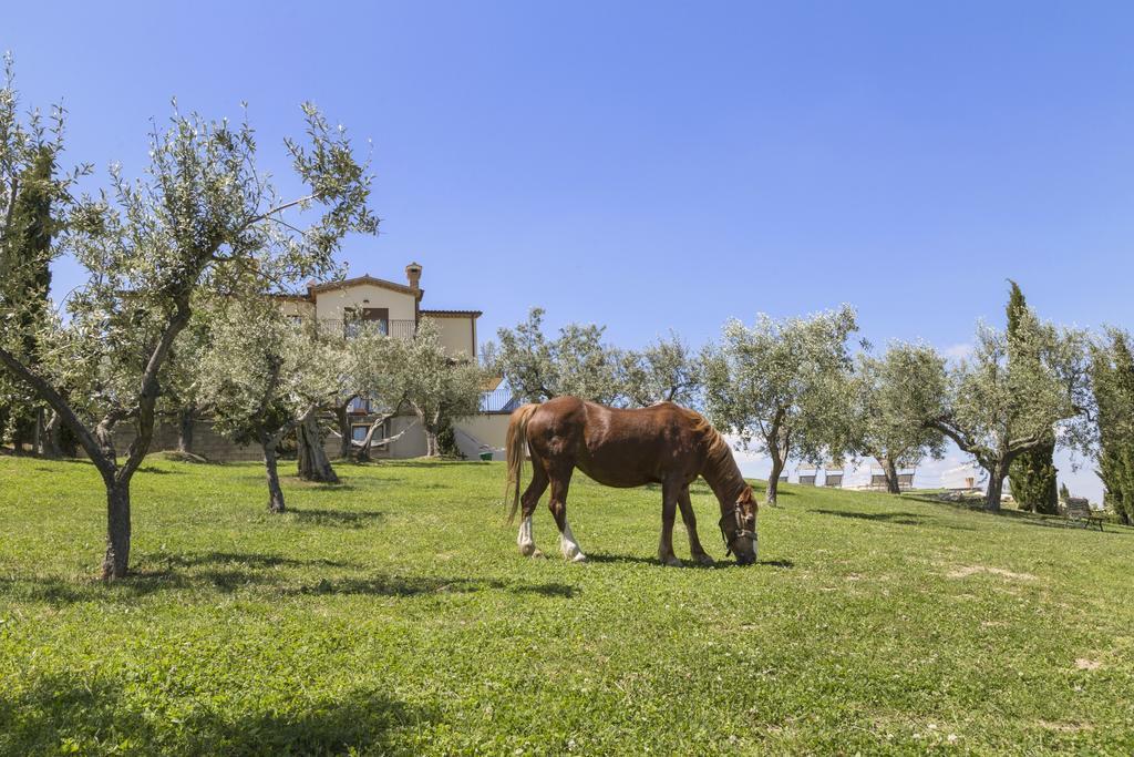 Agriturismo Le Bosche San Marino Dış mekan fotoğraf