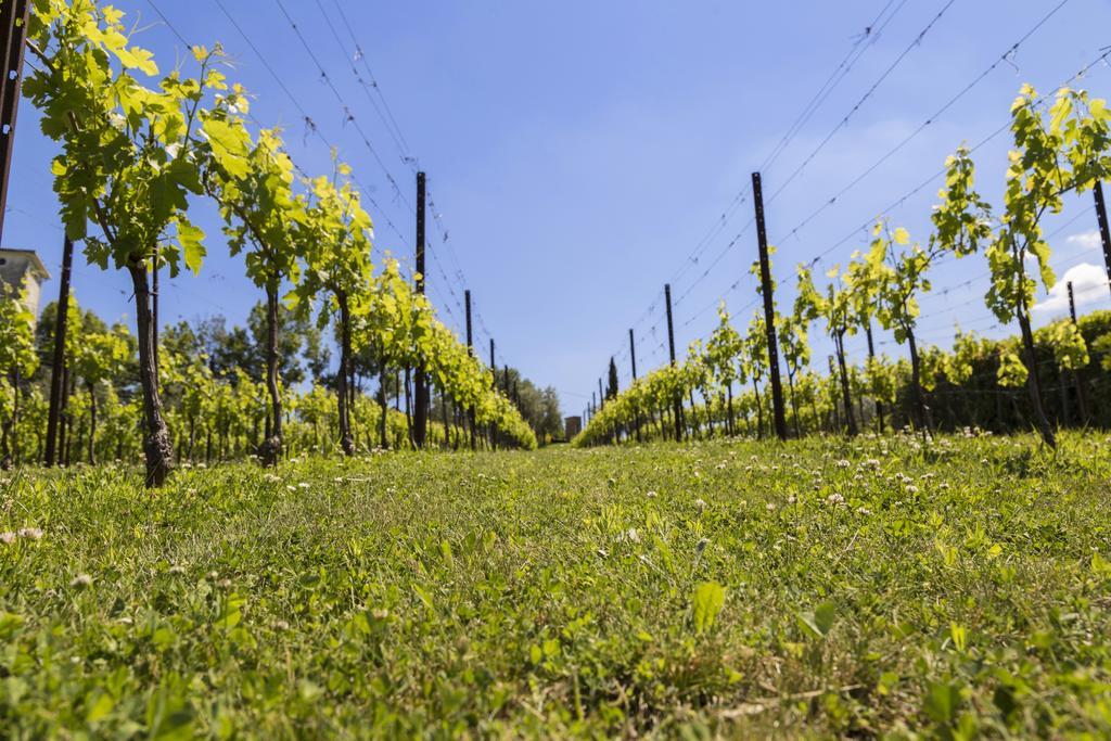 Agriturismo Le Bosche San Marino Dış mekan fotoğraf